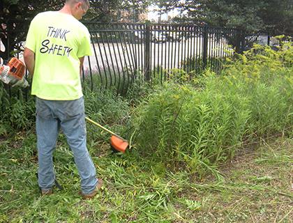 Property clean-up and landscaping maintenance