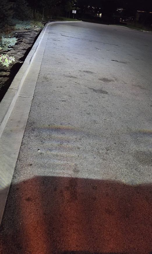 After: Porter clean-up of an industrial drive lane