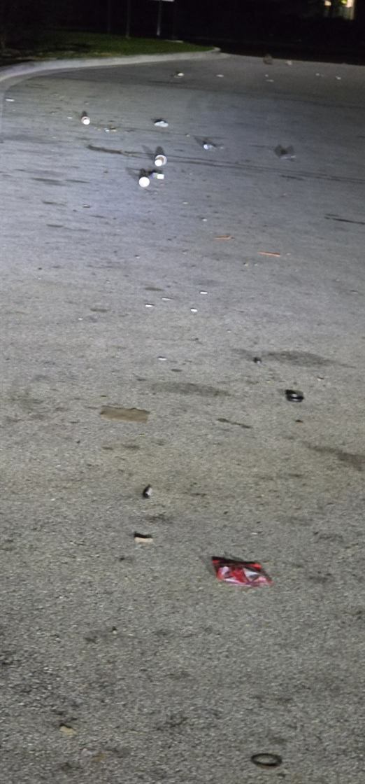 Before: Porter clean-up of an industrial drive lane