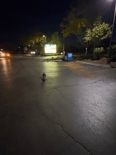 After: Overnight porter debris removal at a shopping center