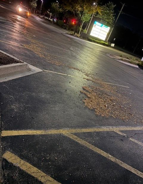 Before: Overnight porter debris removal at a shopping center