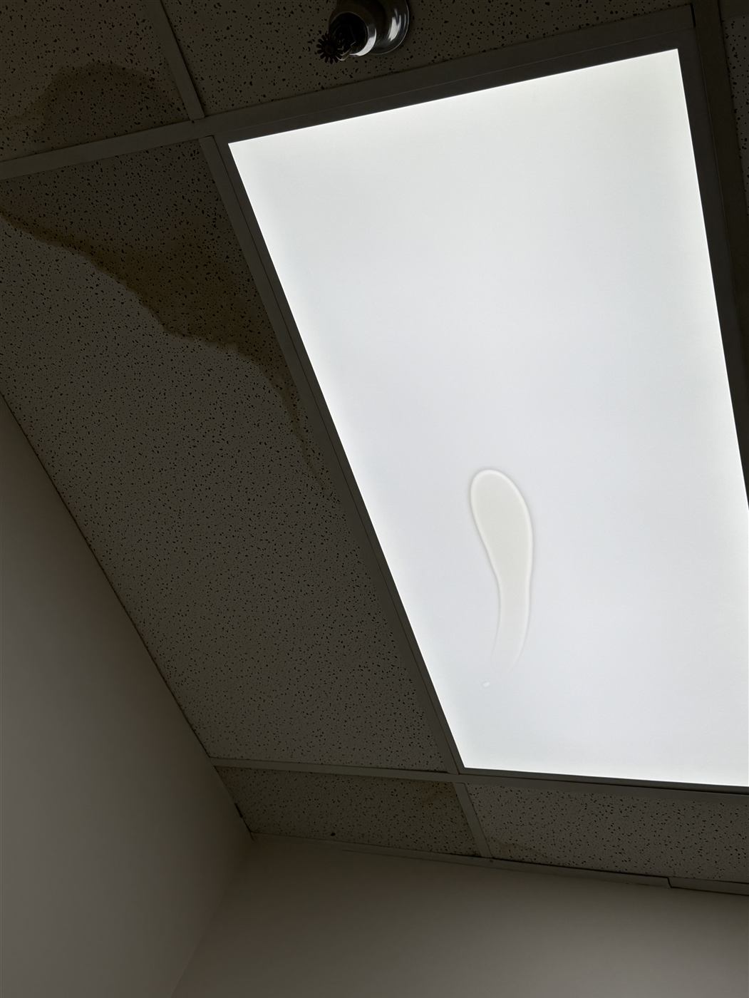 Water-damaged ceiling tile found during a site visit