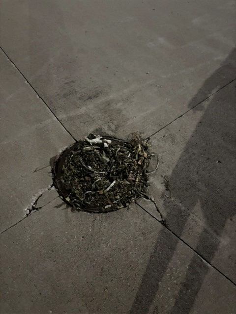 Before: Storm debris cleared from a loading area