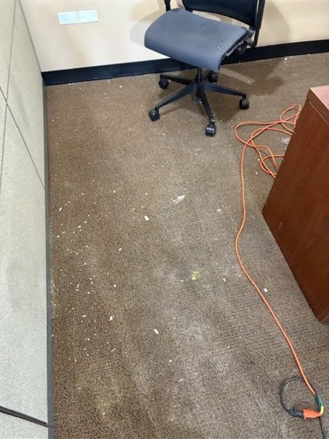 Before: Dust and debris removed from the floors