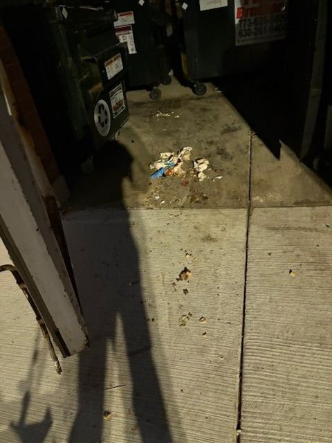 Before: Dumpster corral litter clean-up