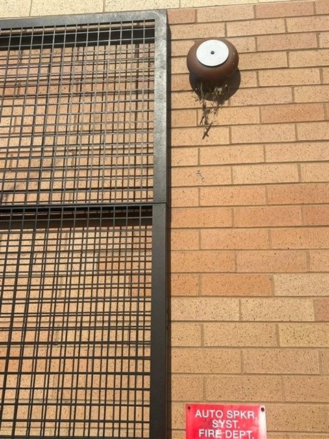 Before: Bird nest removed from a wall fixture