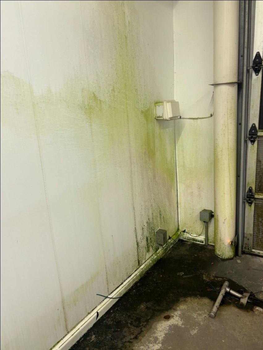 Before: Algae and grime removed from car wash walls